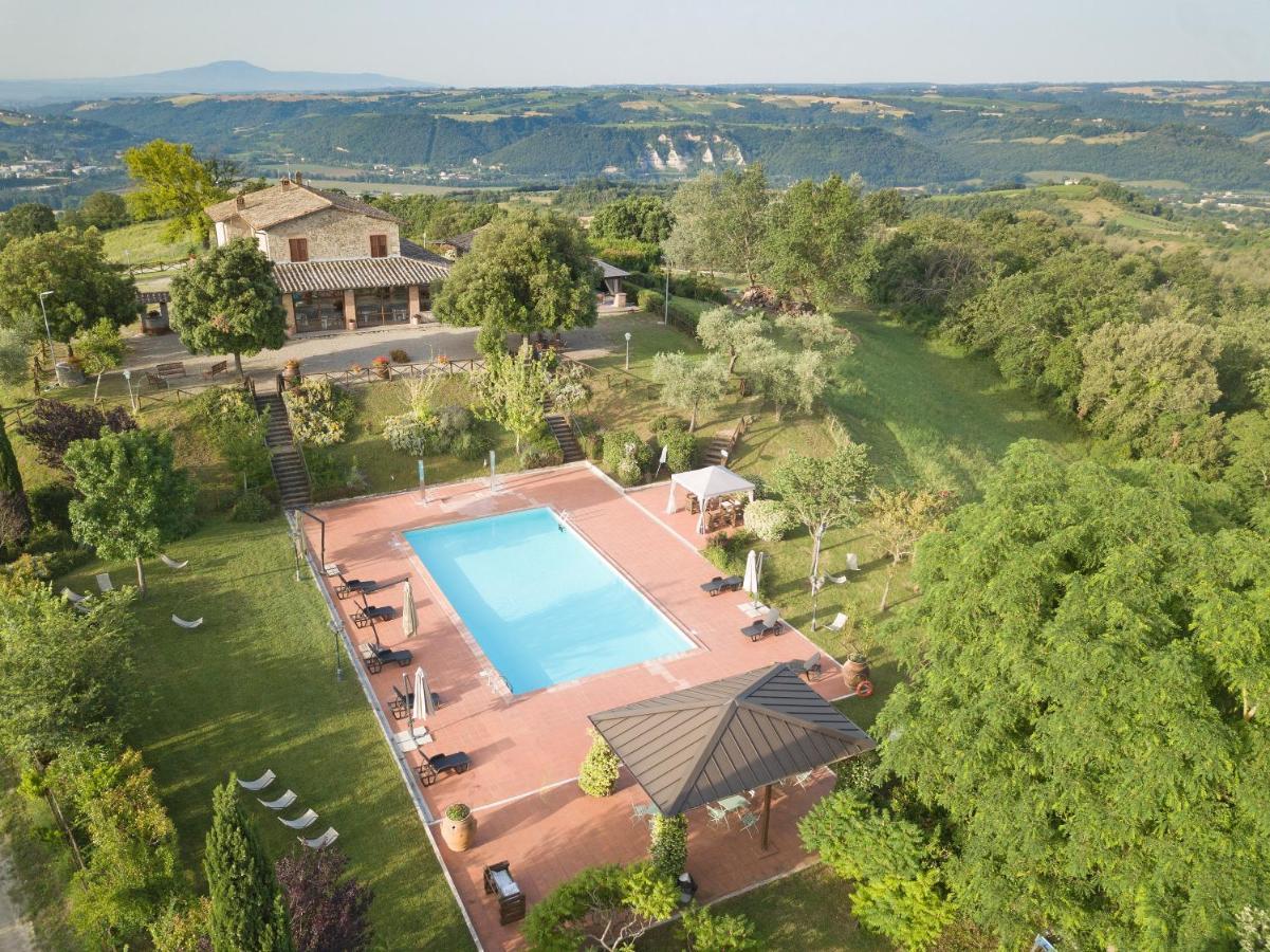 Tenuta Di Corbara Farm stay