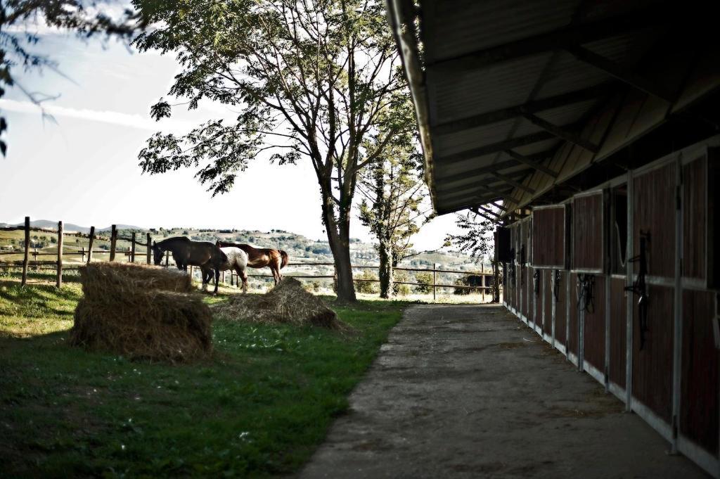 Farm stay Tenuta Di Corbara Corbara (Umbria)