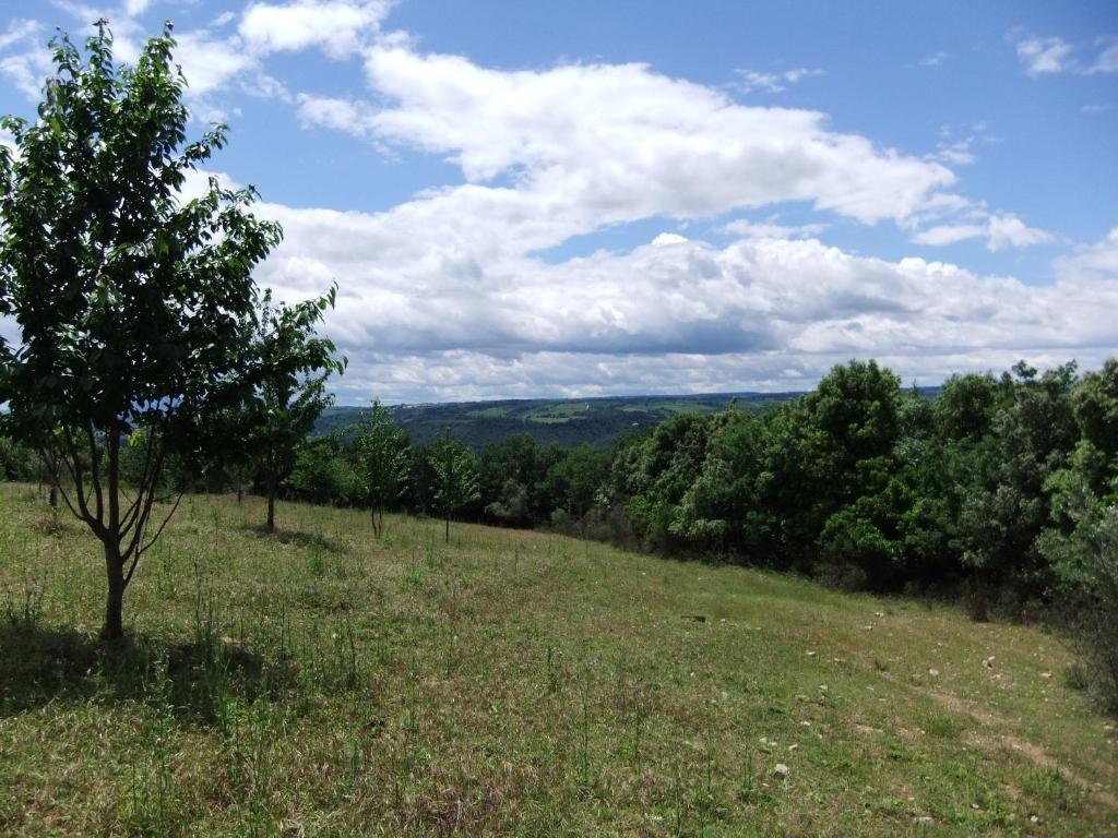 Tenuta Di Corbara * Corbara (Umbria)