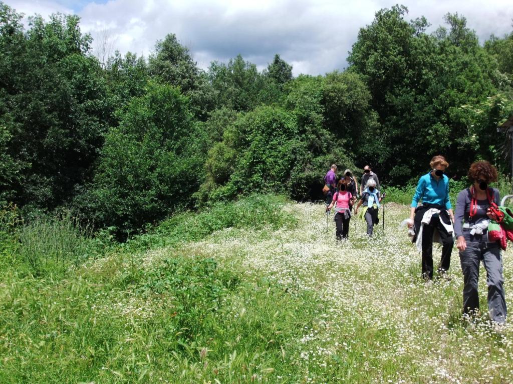 Tenuta Di Corbara Farm stay