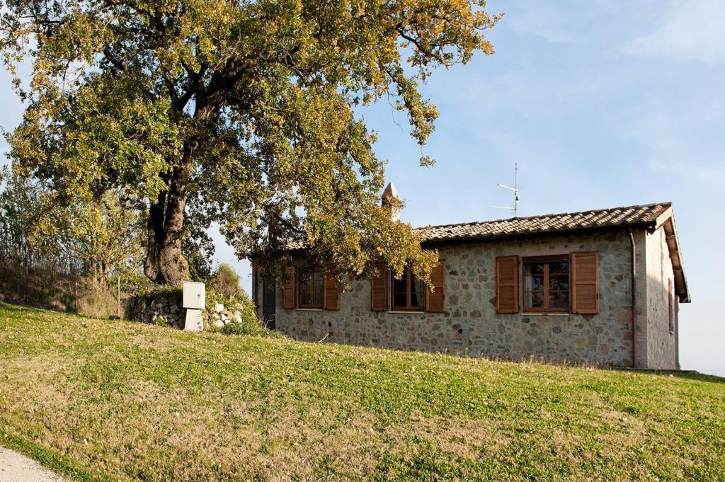 Tenuta Di Corbara